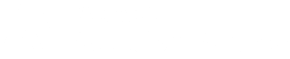 Adobe Solution Partner